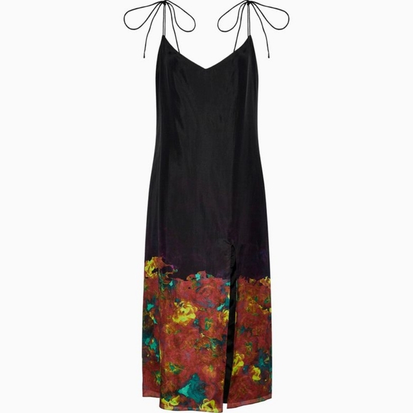Acne Studios Dresses & Skirts - Acne silk printed dress 10(40) BNWT